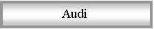 Blok textu:                Audi